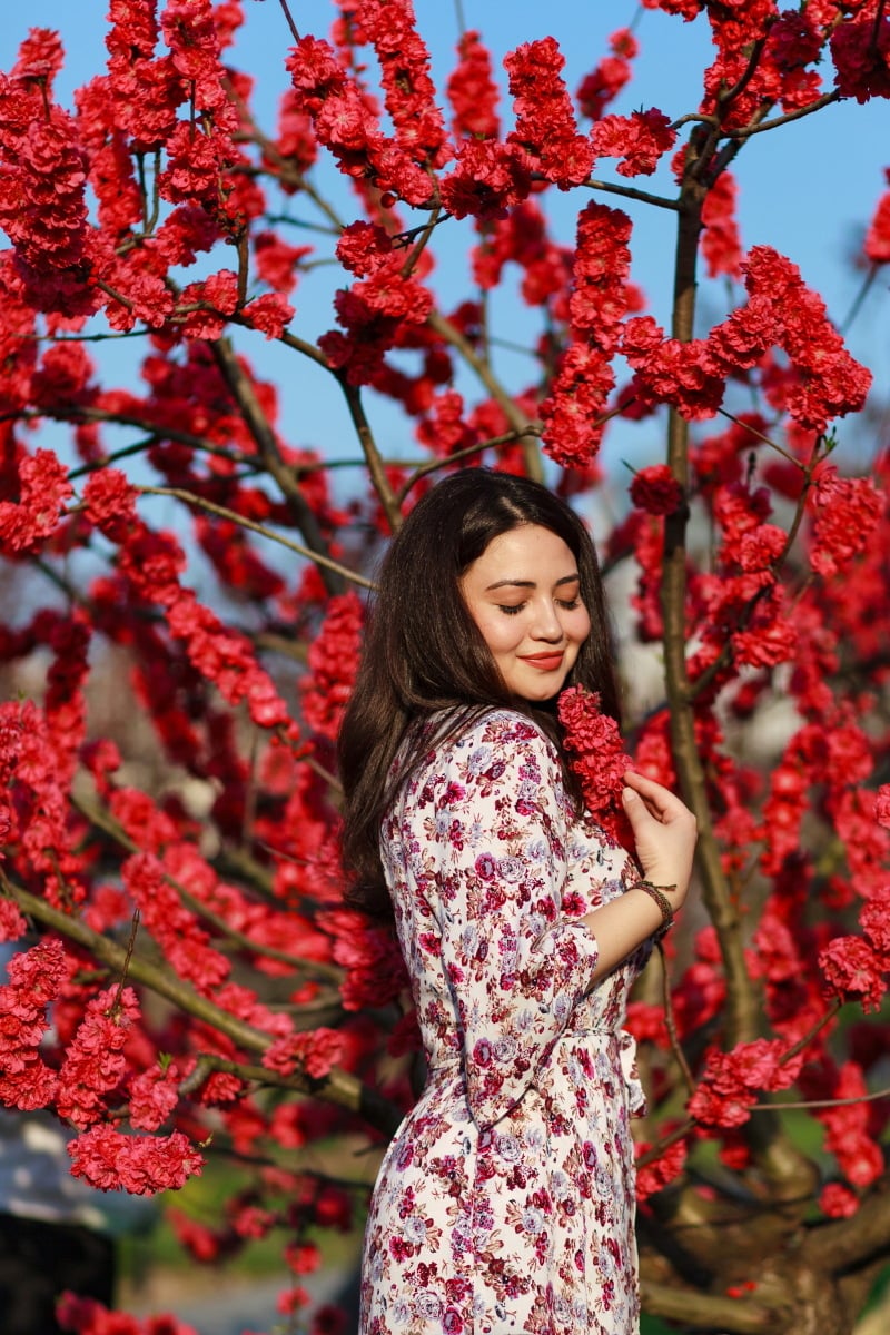 Cherry Blossom Photo Shoot IMG_6830