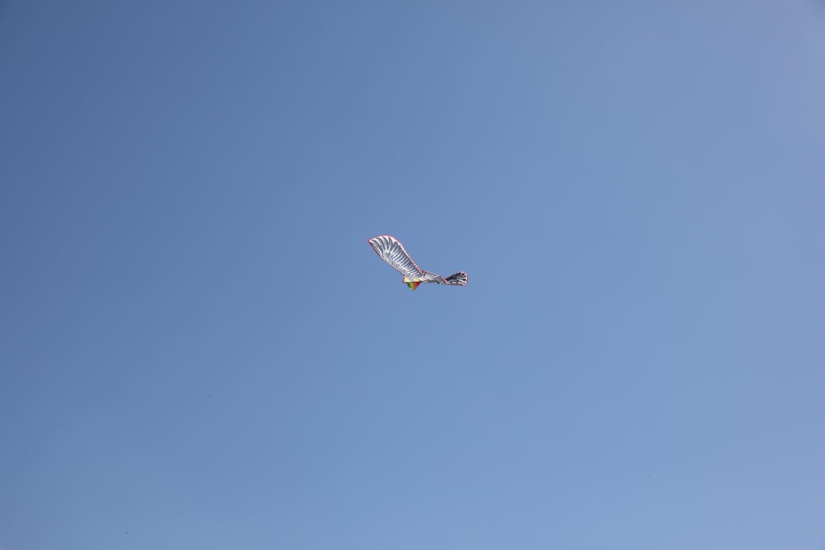 Reportage Photography Kite24